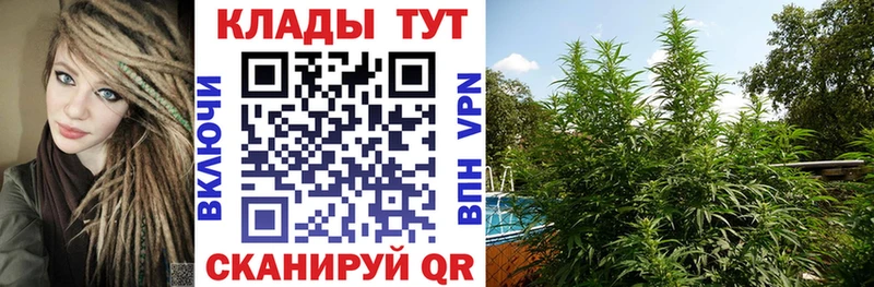 Магазины продажи наркотиков Правдинск Псилоцибиновые грибы Мефедрон Марихуана Cocaine A-PVP