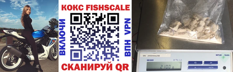 где купить наркотик Правдинск COCAIN FishScale