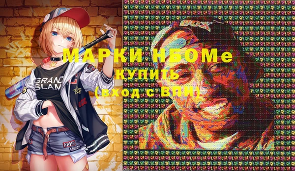 хмурый Надым