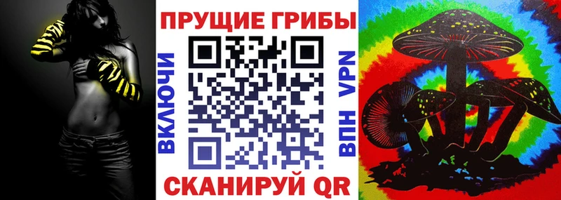 Псилоцибиновые грибы мицелий  даркнет телеграм  Правдинск  ссылка на мегу tor 
