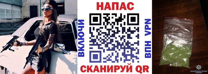 Шишки марихуана конопля  сколько стоит  Правдинск 